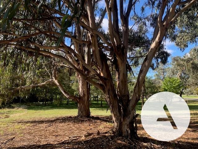 L25087347-BELCONNEN-2025-11-19-053618-12