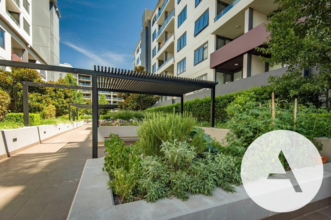 L38986702-BRADDON-2026-01-29-004911-10