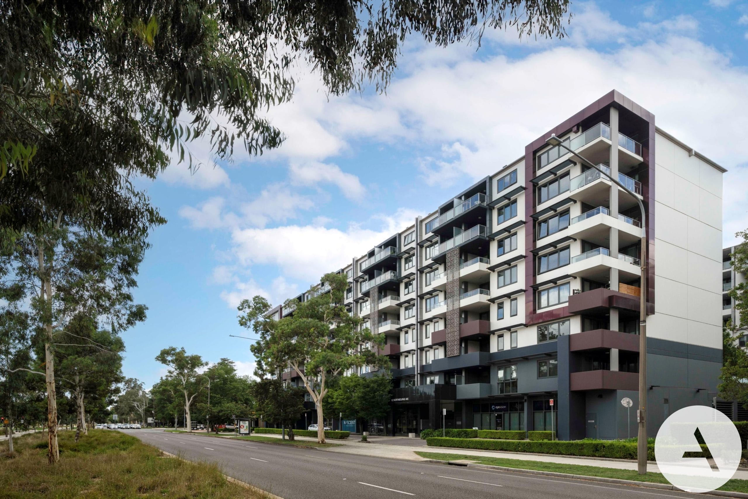 L38986702-BRADDON-2026-01-29-004911-11