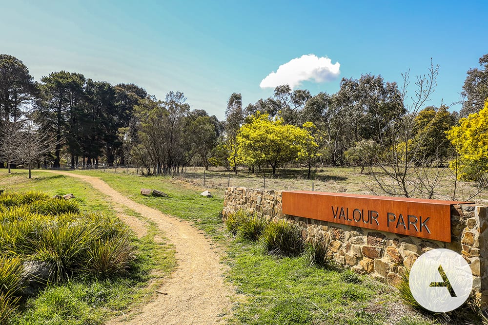 b3a600cc15e94c8a8344f68f5ddddf36-Watson-2026-01-20-043552-15