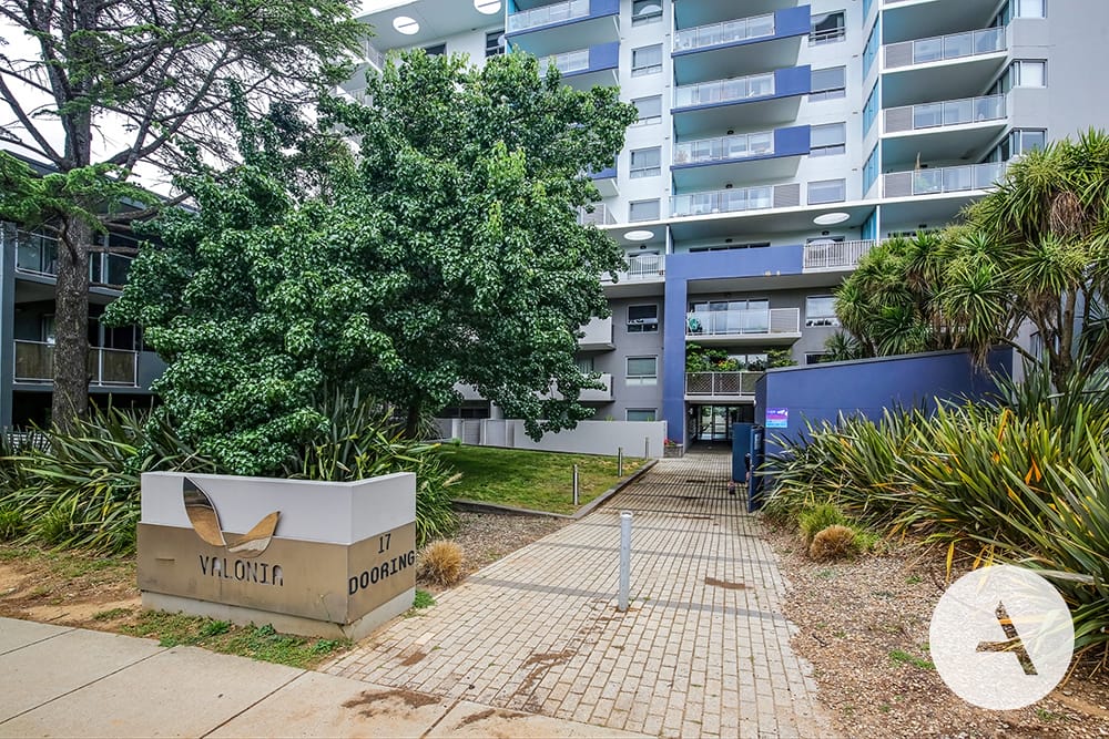 b3c804c0b6024f289898fdfe7d03cda0-Braddon-2026-01-27-230035-11