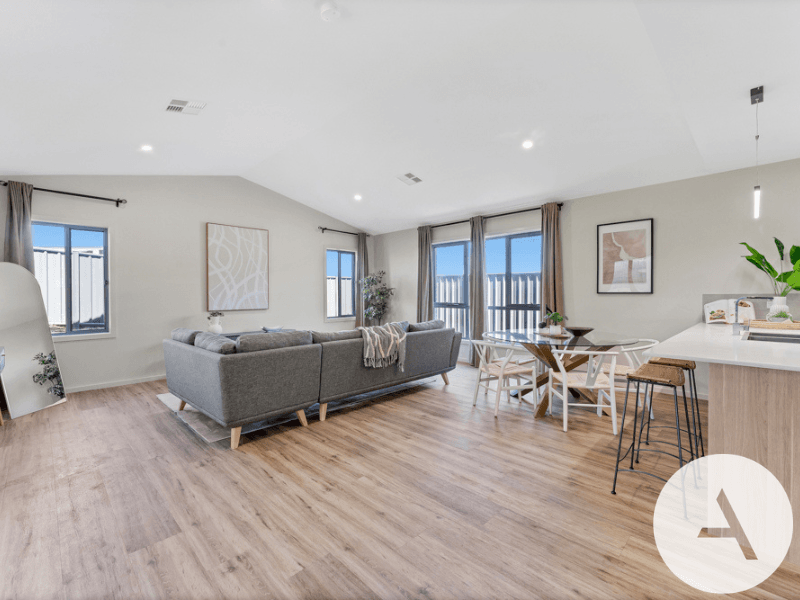 b3e9014fc1974e109f1073674e8024b1-Whitlam-2026-02-16-223144-5