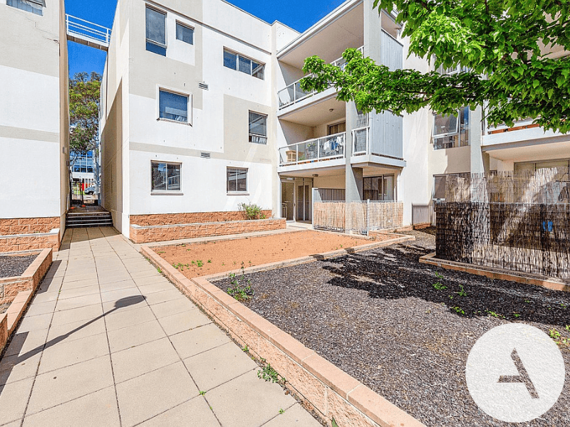 b3e6010fb2e94772bf524f7b3221ef81-Bruce-2026-02-27-051322-11