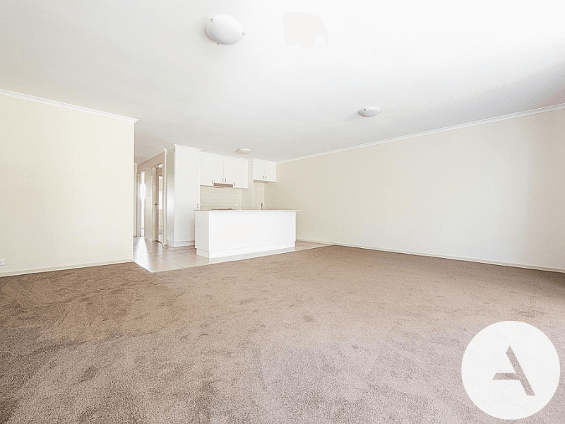 b3e6010fb2e94772bf524f7b3221ef81-Bruce-2026-02-27-051322-3